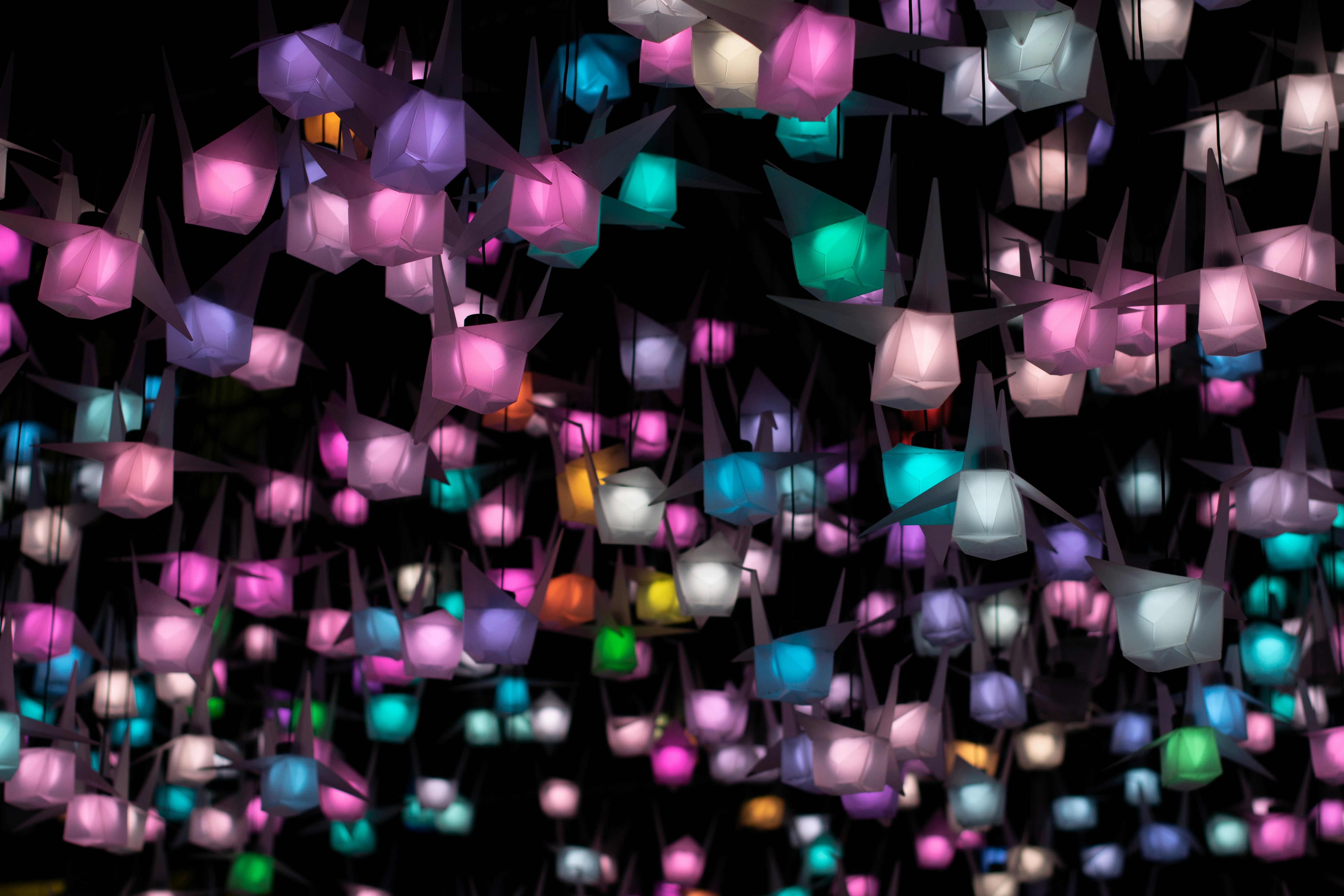 assorted-color turned-on string lights